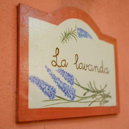 Homeforguest Cosy Rural Flat La Lavanda Surrounded By Nature Tacoronte Εξωτερικό φωτογραφία