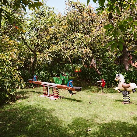 Homeforguest Cosy Rural Flat La Lavanda Surrounded By Nature Tacoronte Εξωτερικό φωτογραφία