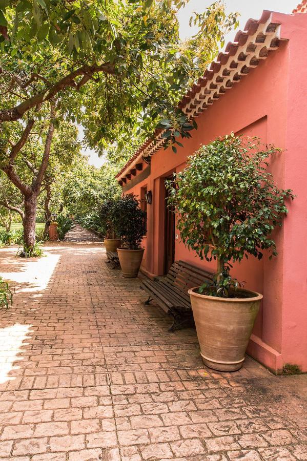 Homeforguest Cosy Rural Flat La Lavanda Surrounded By Nature Tacoronte Εξωτερικό φωτογραφία