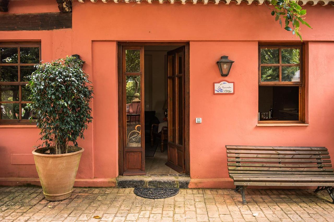 Homeforguest Cosy Rural Flat La Lavanda Surrounded By Nature Tacoronte Εξωτερικό φωτογραφία