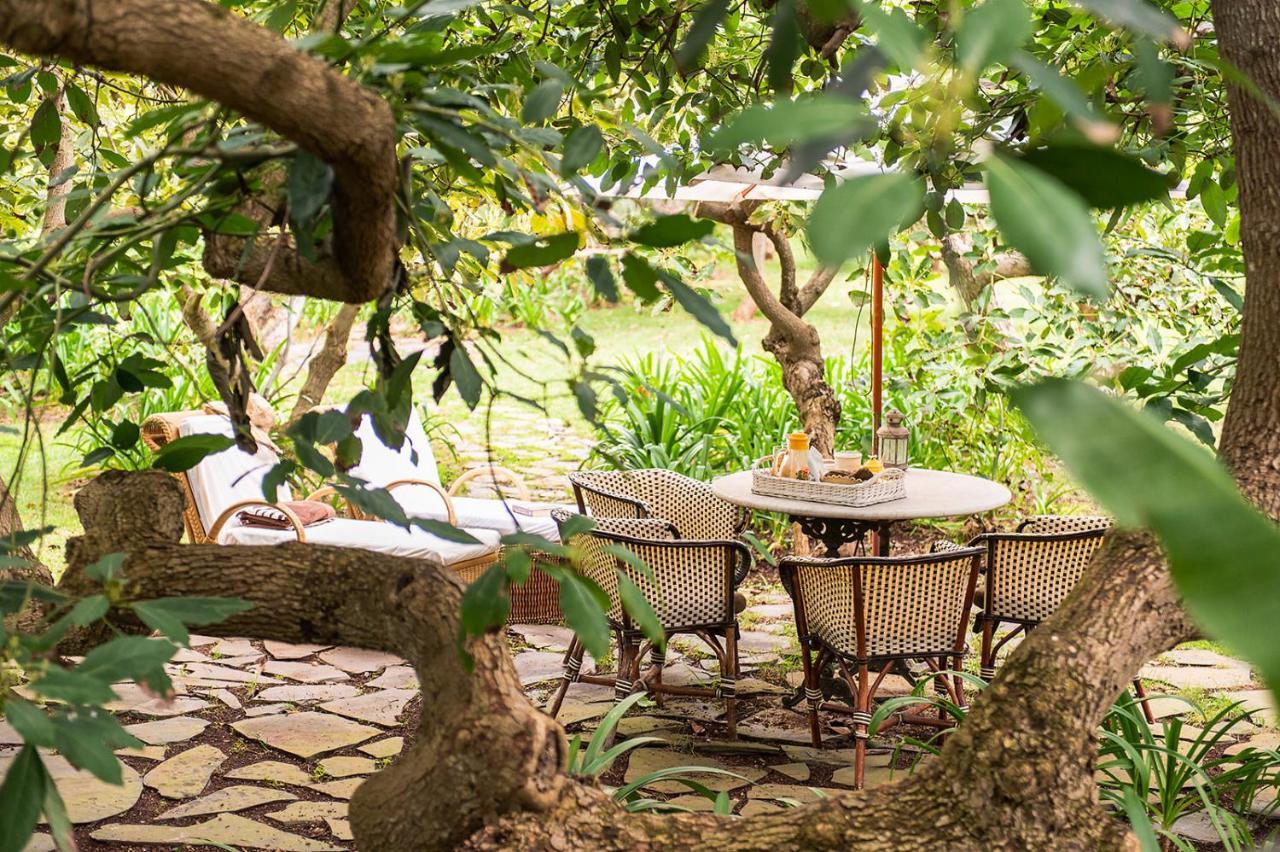 Homeforguest Cosy Rural Flat La Lavanda Surrounded By Nature Tacoronte Εξωτερικό φωτογραφία