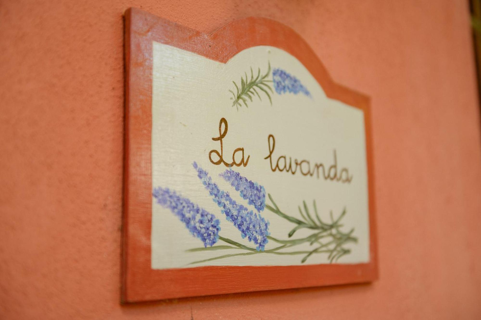 Homeforguest Cosy Rural Flat La Lavanda Surrounded By Nature Tacoronte Εξωτερικό φωτογραφία