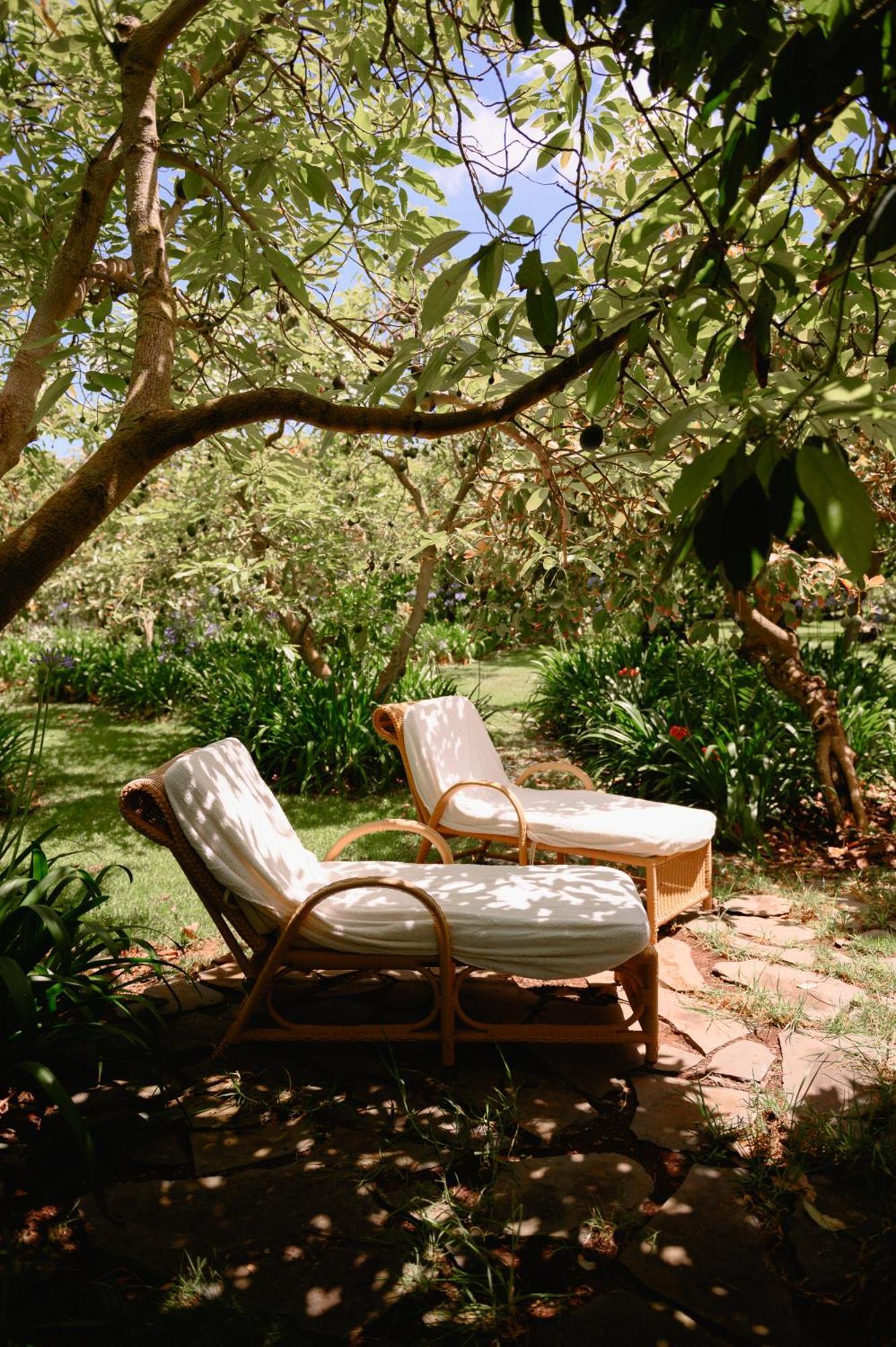 Homeforguest Cosy Rural Flat La Lavanda Surrounded By Nature Tacoronte Εξωτερικό φωτογραφία